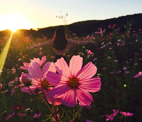 Самое большое счастье — не получить то, что страстно желаешь