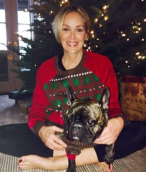 58-летняя Шэрон Стоун показала идеальное тело