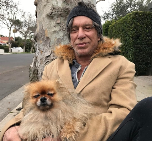 Микки Рурк снова решился на ринопластику