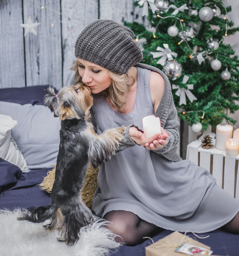 Встречаем 2018 год — Год Желтой Собаки