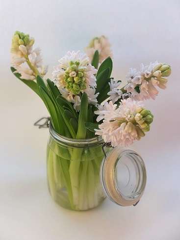 В вазе растениям должно быть сводобно