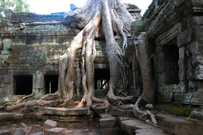 Каждое строение в Ангкор-Вате можно рассматривать часами