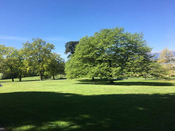 «Дышу свежим женевским воздухом и слушаю пение птиц в la Grange»