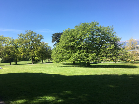 Мамки и няньки в старой Европе: есть ли повод для зависти