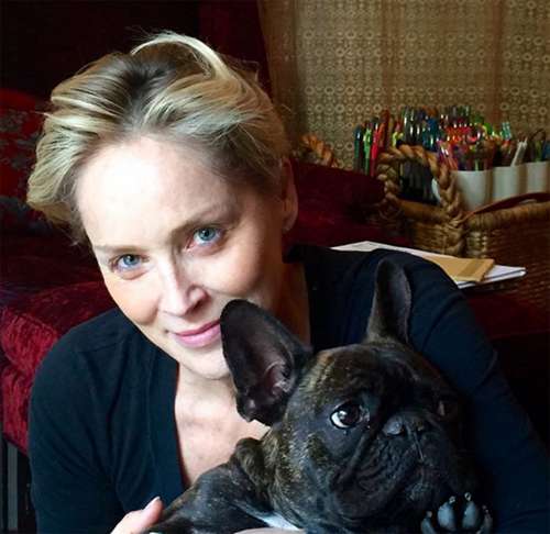 Шэрон Стоун Шэрон Стоун