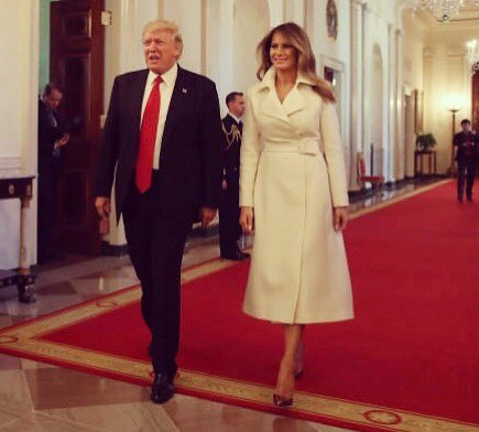 Мелания Трамп снялась для официального портрета