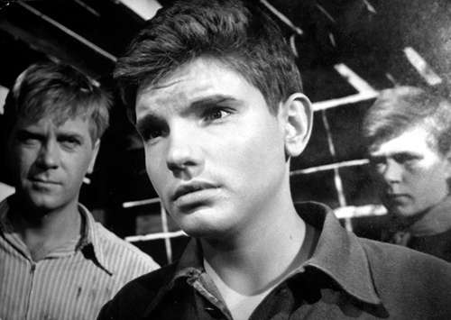 Впервые Олег Видов сыграл в фильме «Друг мой, Колька!»