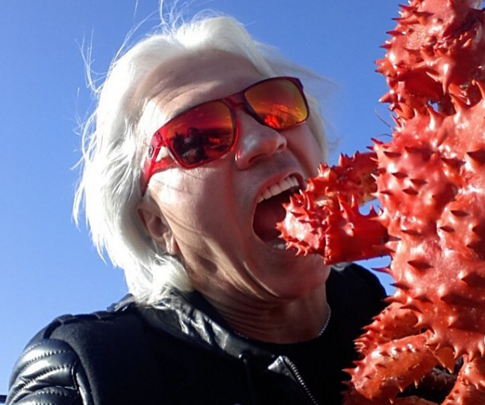 Болезнь вынудила Хворостовского отменить выступления в Вене