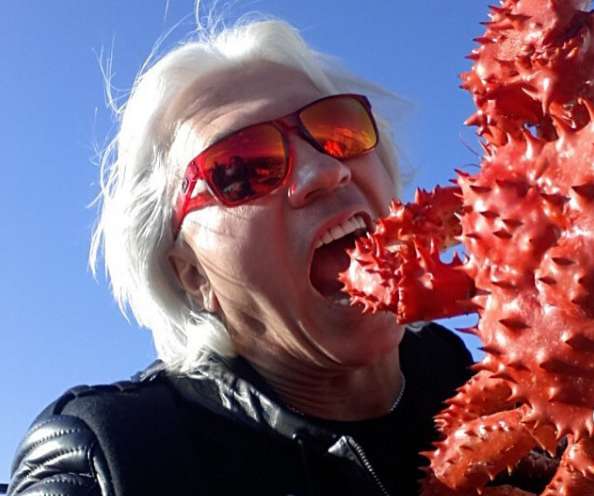 ДМИТРИЙ ХВОРОСТОВСКИЙ