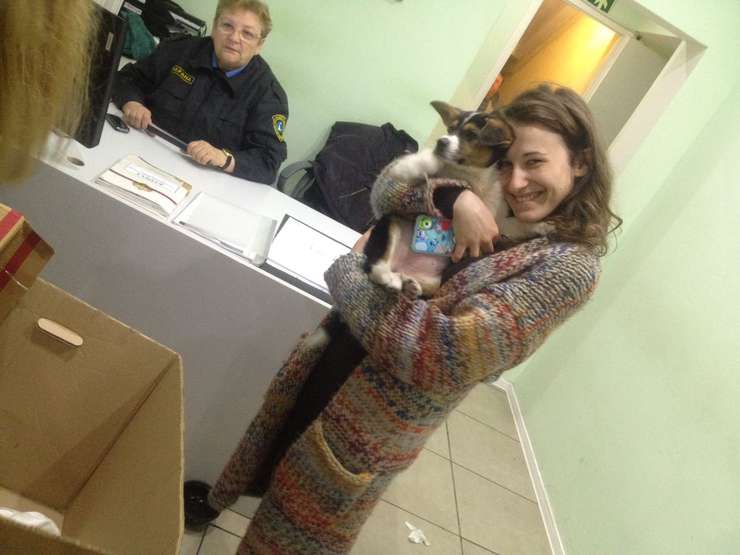 Счастливая собака Найда с новой хозяйкой Счастливая собака Найда с новой хозяйкой