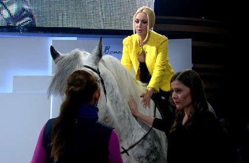 Конь привел в восторг всю студию