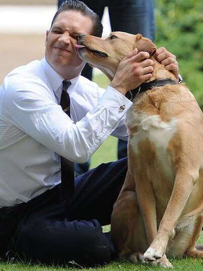 Вуди был стал настоящей звездой Голливуда, как его хозяин