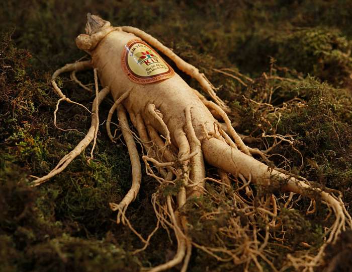 Косметика с женьшенем улучшает циркуляцию крови