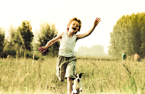 Как предотвратить и вылечить педикулез