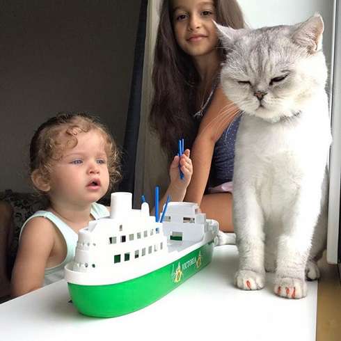 Кот выглядит несчастным