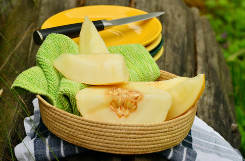 Как выбрать правильную дыню