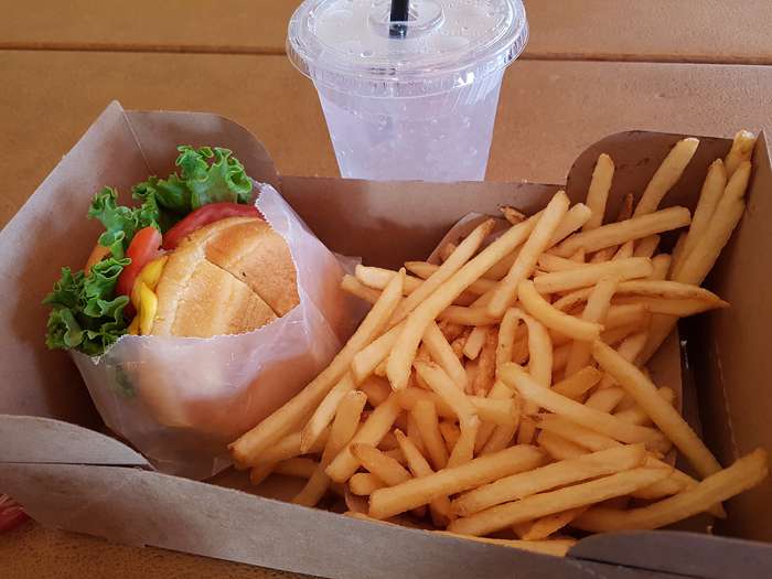 Японские исследователи выяснили, почему мы не можем отказаться от фастфуда