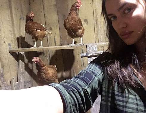 Селфи в курятнике Селфи в курятнике