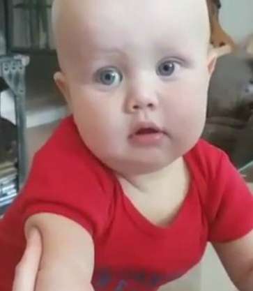 Сын Виторгана и Собчак