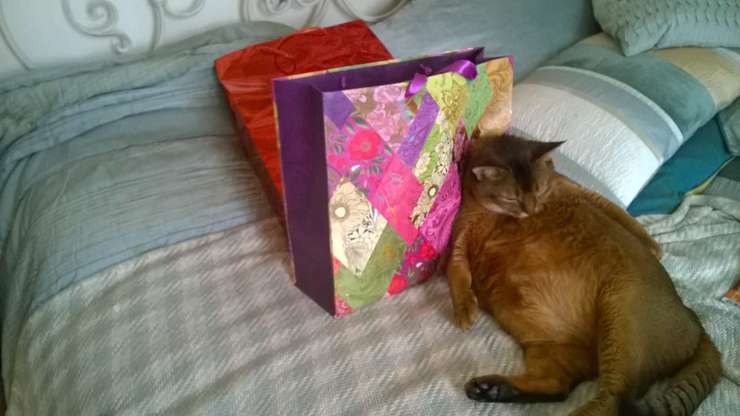 Подарки звездной мамы любимому сыну сразу облюбовал кот по имени Сэнди. Питомца так прозвали по причине песочного цвета шерсти - от английского слова sand (песок)