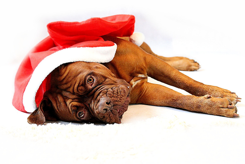 Гороскоп на 2018 год