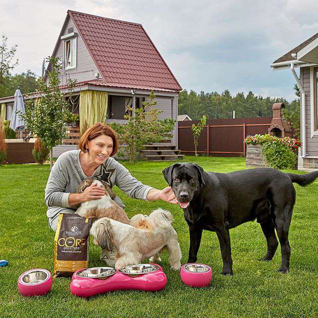 На фоне гостевого домика На фоне гостевого домика