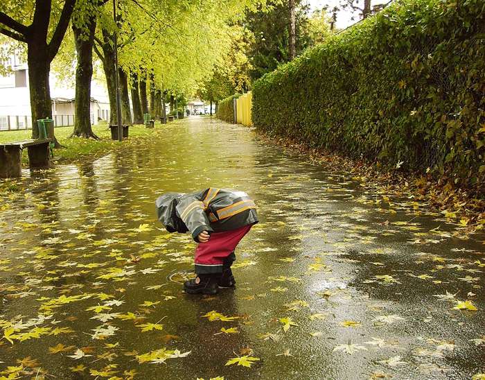Ноябрь - лучшее время для обучения детей правилам поведения в общественных местах Ноябрь - лучшее время для обучения детей правилам поведения в общественных местах