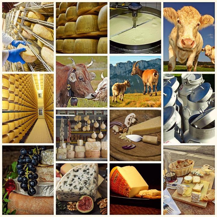 С введением санкций сыр начали делать в России