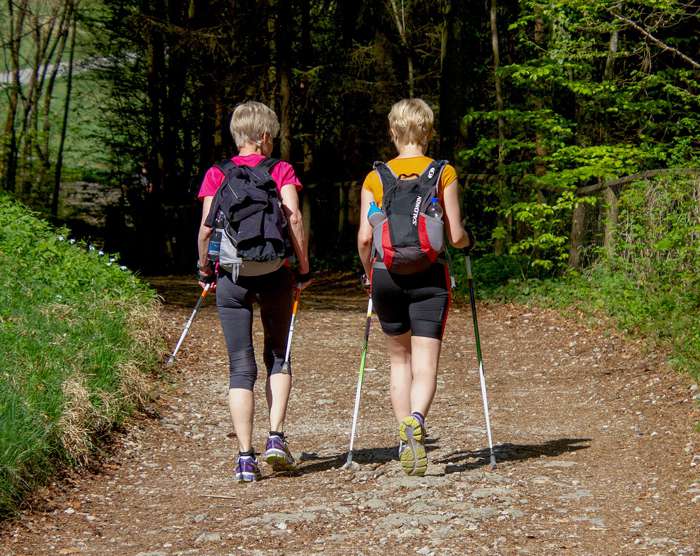 Скандинавская ходьба дает оптимальную нагрузку при болях в спине