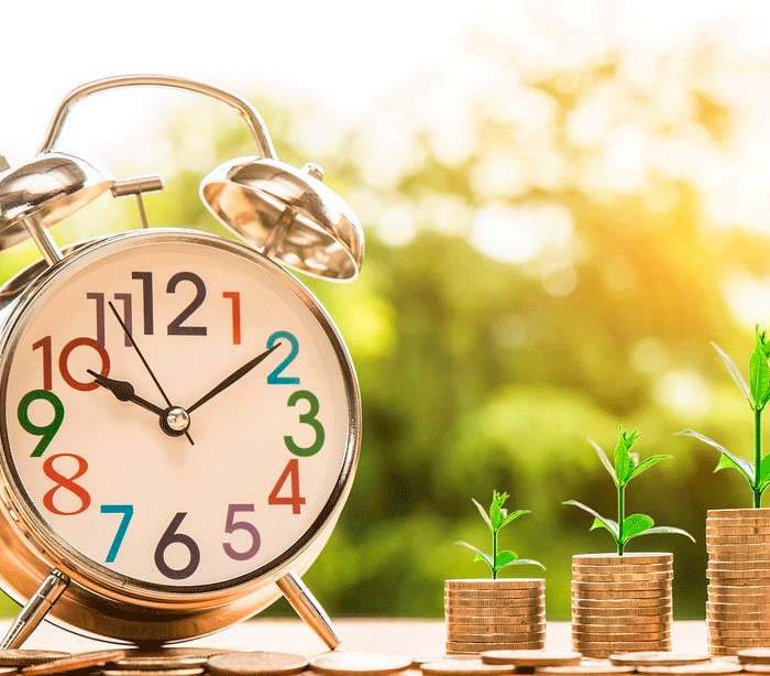 Это растение долго растет, поэтому запаситесь терпением