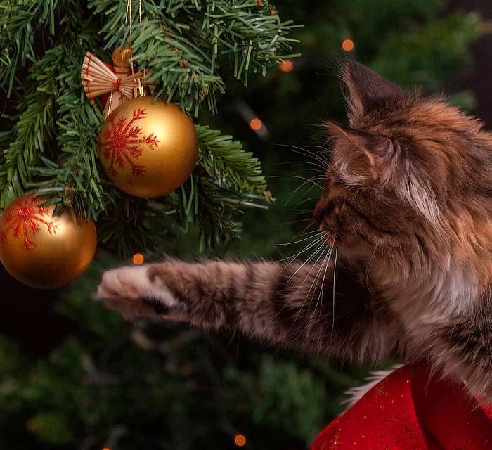 Тут все зависит от вашего отношения к собственному семейному статусу