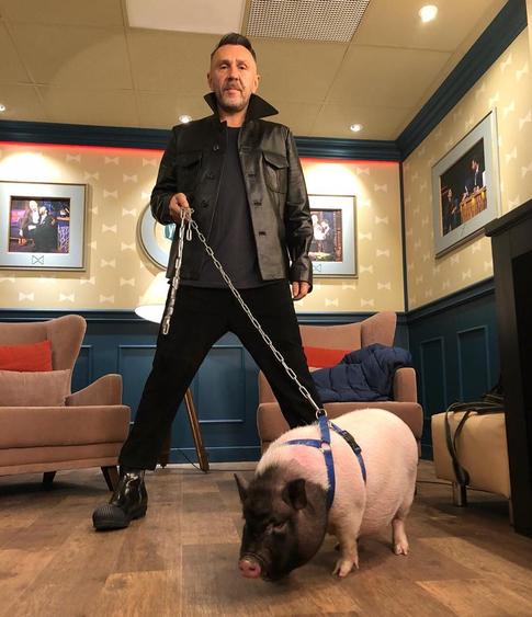 Собчак и Шнуров обменялись колкостями