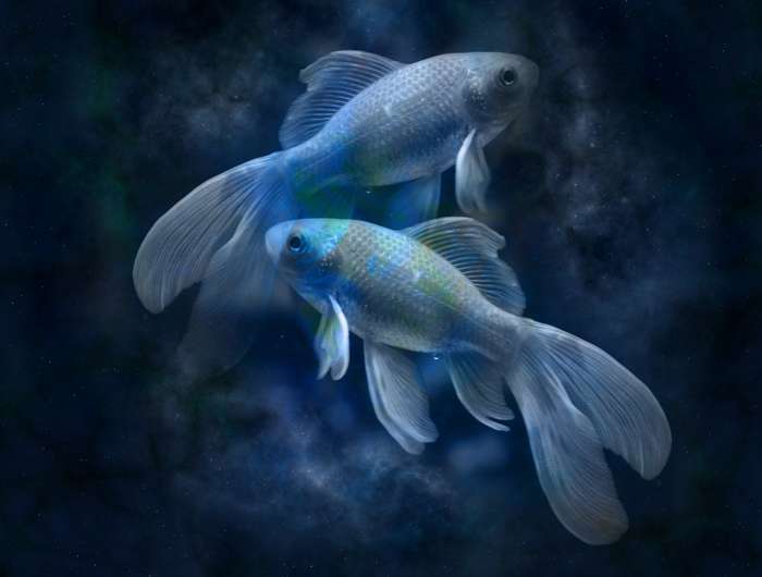 На этой неделе Солнце вошло в Рыбы