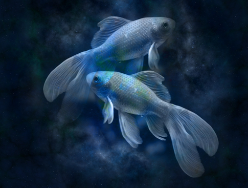 19 — 25 февраля: неделя чудесных совпадений