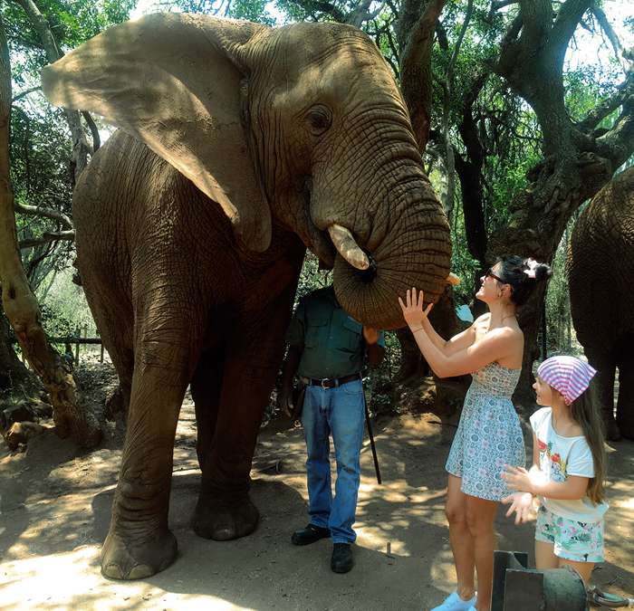 «Мне нравится придумывать разнообразные приключения», - говорит актриса «Мне нравится придумывать разнообразные приключения», - говорит актриса