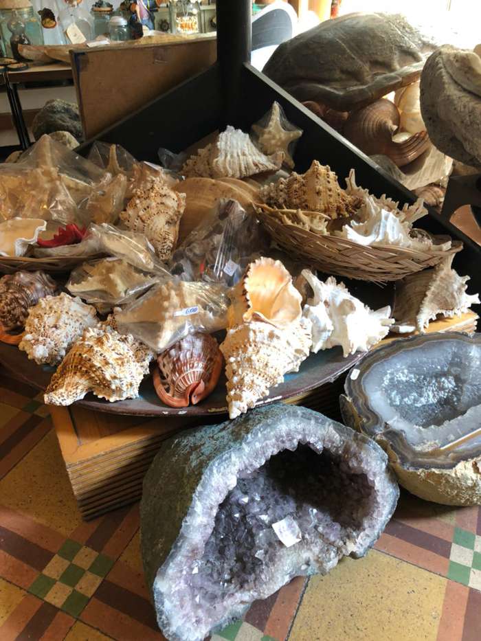 Именно эти украшения для аквариума стали причиной перевеса