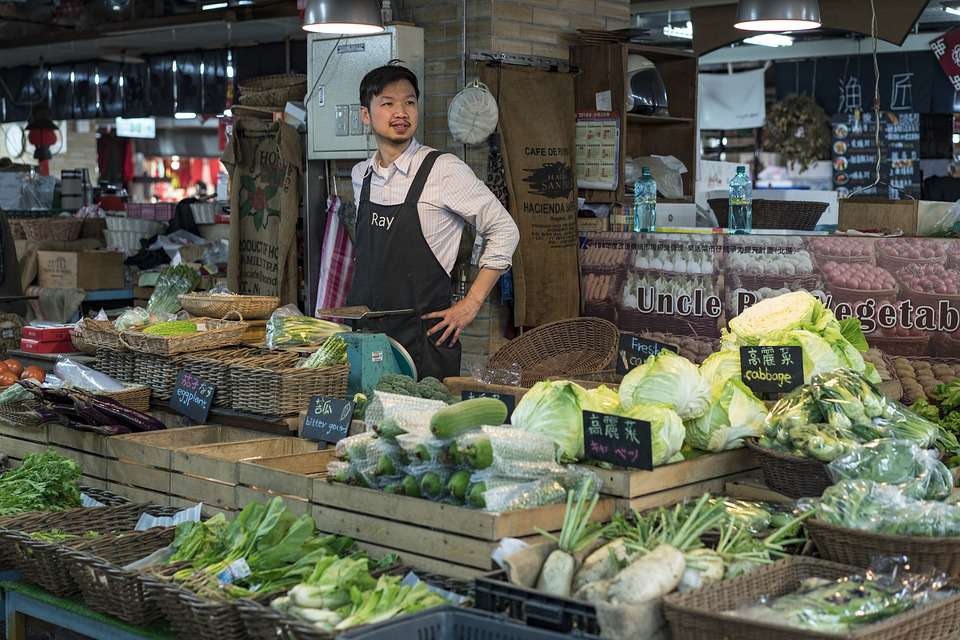 Существует десятки разновидностей капусты