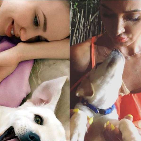 Бузова пародирует беременную Костенко