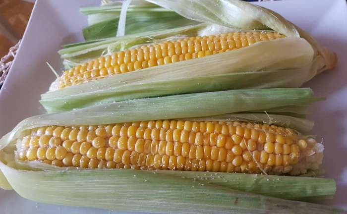 Готовим кукурузу в микроволновке