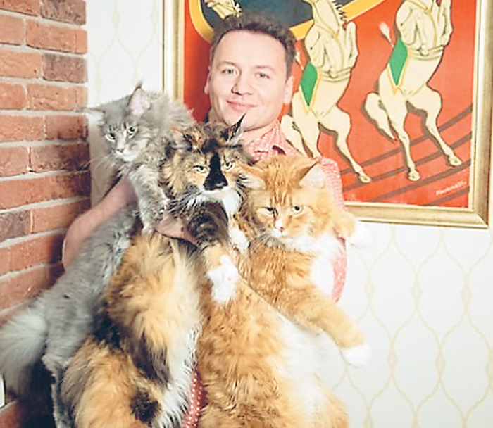Александр просто обожает кошек и держит в качестве питомцев трех мейн-кунов: Елисея, Вальтера и Алису