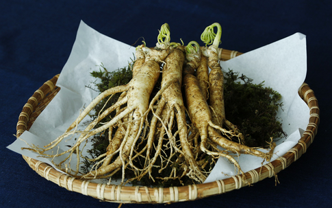 Волшебный корень для красоты и здоровья