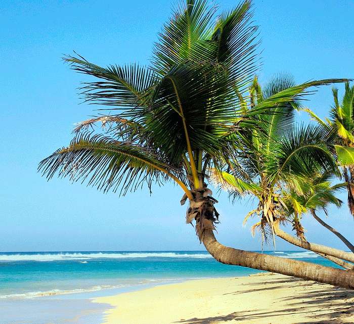 Шикарная природа и уникальная кухня притягивают туристов на Кубу