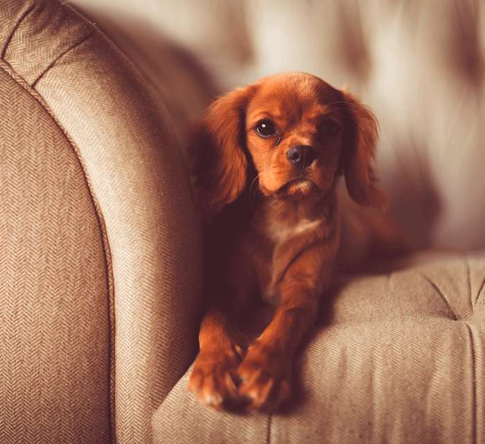 Откажитесь от раскладного дивана