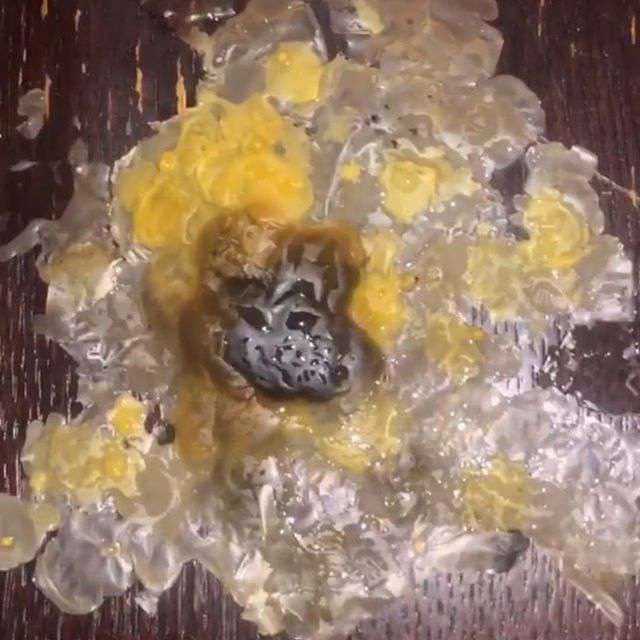 Что уж тут увидела ведущая, остается догадываться