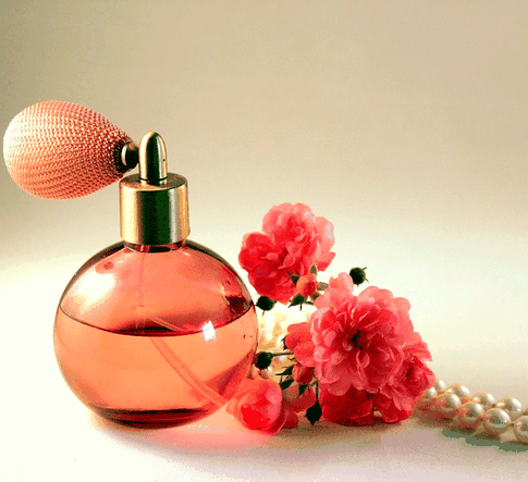 Мифы и реальность: вся правда о феромонах