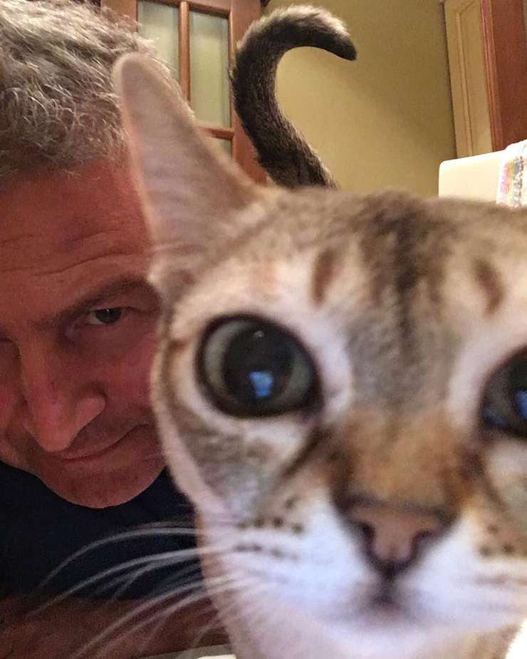 Леонид Агутин с кошкой