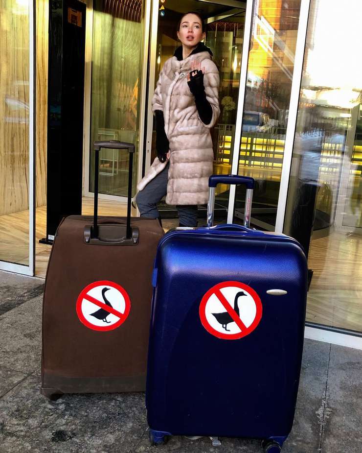 Пара перечеркнутых лебедей - намек на расставание