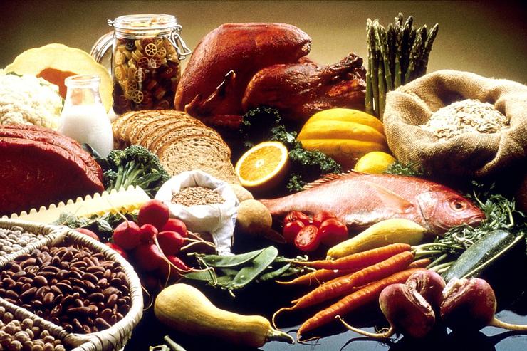 Наибольшая концентрация витаминов в мясе, жирной рыбе, молочных продуктах