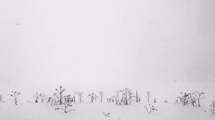 По дороге в Ижевск