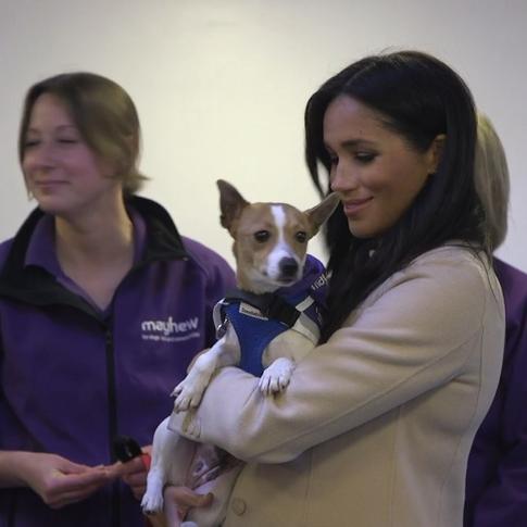 Маркл не выполнила просьбу отца